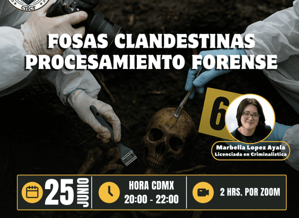 Captura de pantalla 2025-06-25 a las 4.11.45 p. m.